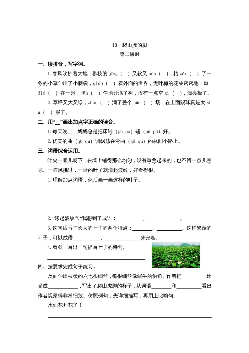图片[3]-四年级语文上册10爬山虎的脚-学习资料站
