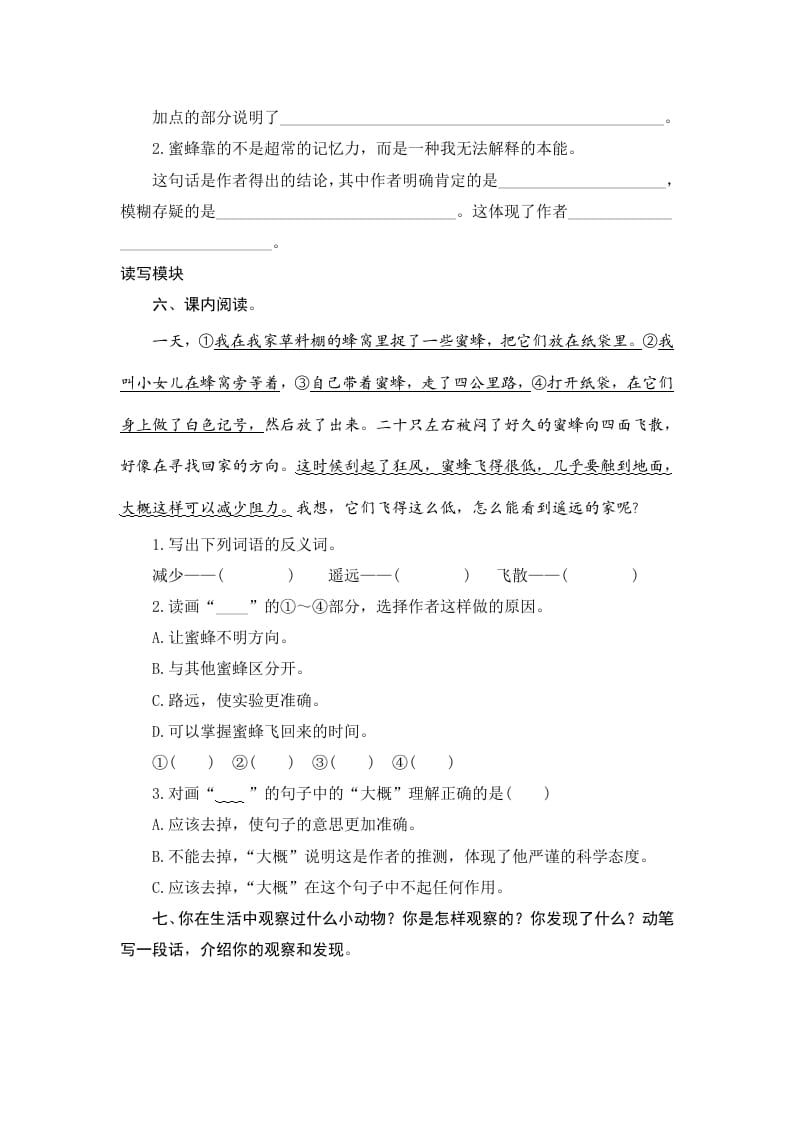 图片[2]-三年级语文下册14蜜蜂-学习资料站