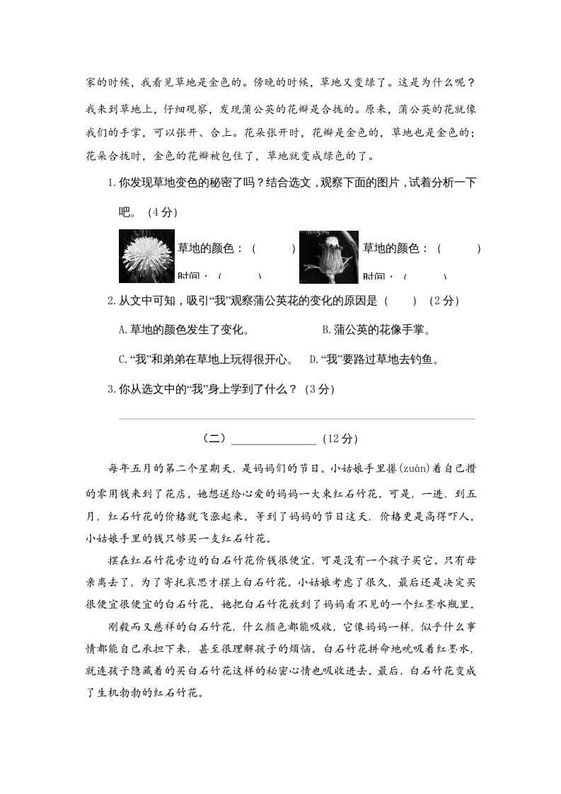 图片[3]-三年级语文上册期末练习(3)（部编版）-学习资料站