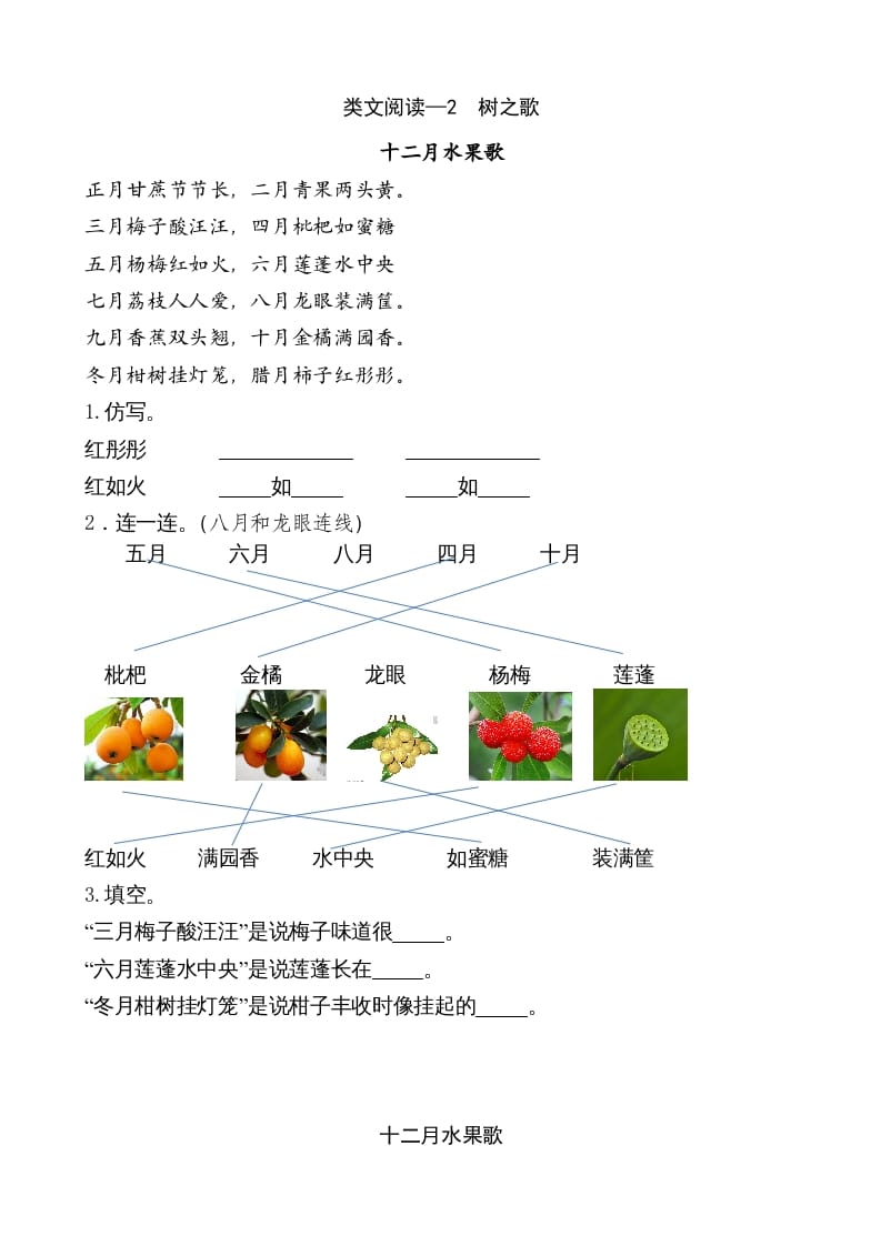 二年级语文上册类文阅读—2树之歌（部编）-学习资料站