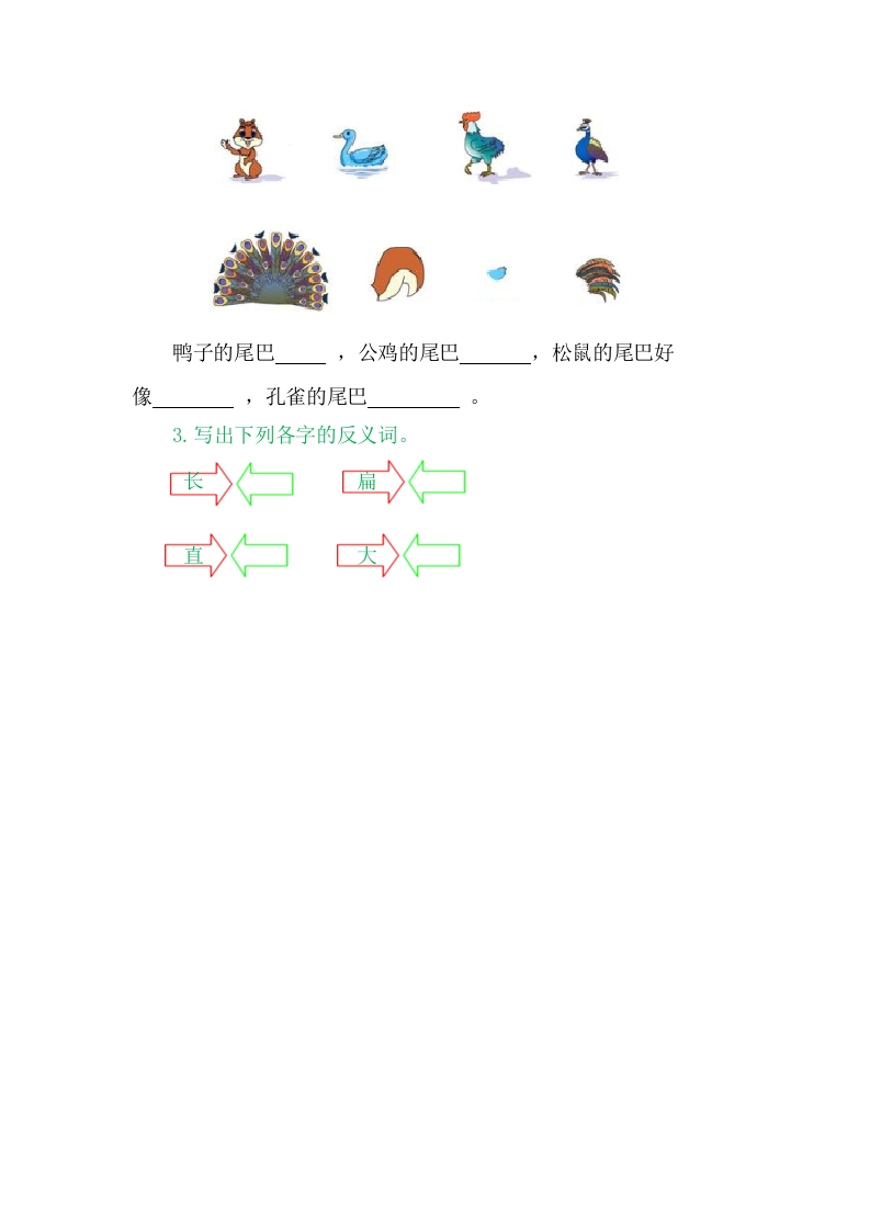 图片[2]-二年级语文上册6比尾巴（部编）-学习资料站