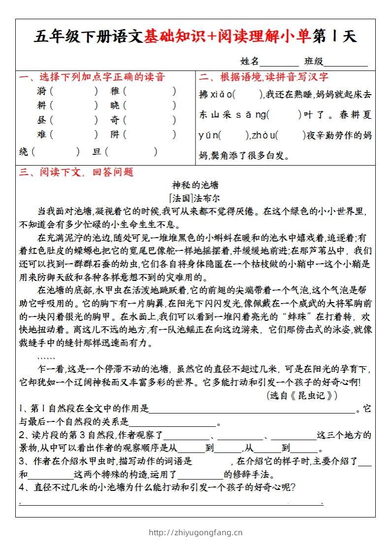 【基础知识+阅读理解小单】五下语文-学习资料站