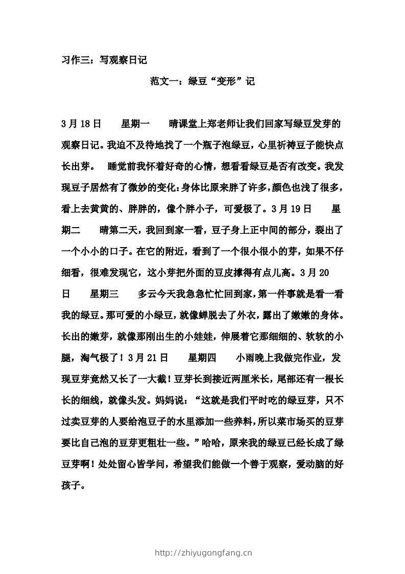 图片[3]-四年级上册语文作文范文(8)-学习资料站
