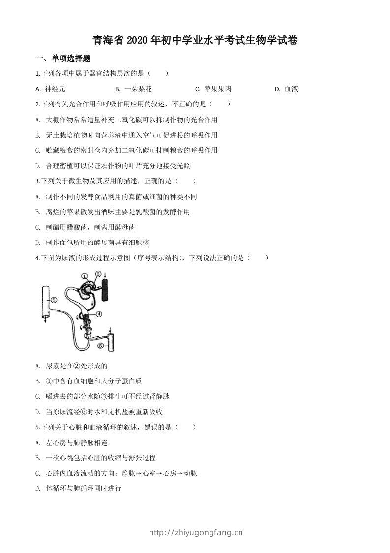 青海省2020年中考生物试题（空白卷）-学习资料站