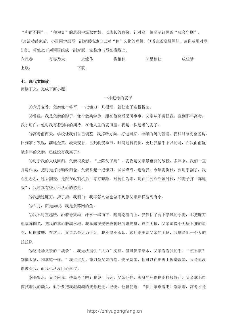 图片[3]-2022-2023学年河南省洛阳市嵩县八年级下学期期末语文试题及答案(Word版)-学习资料站