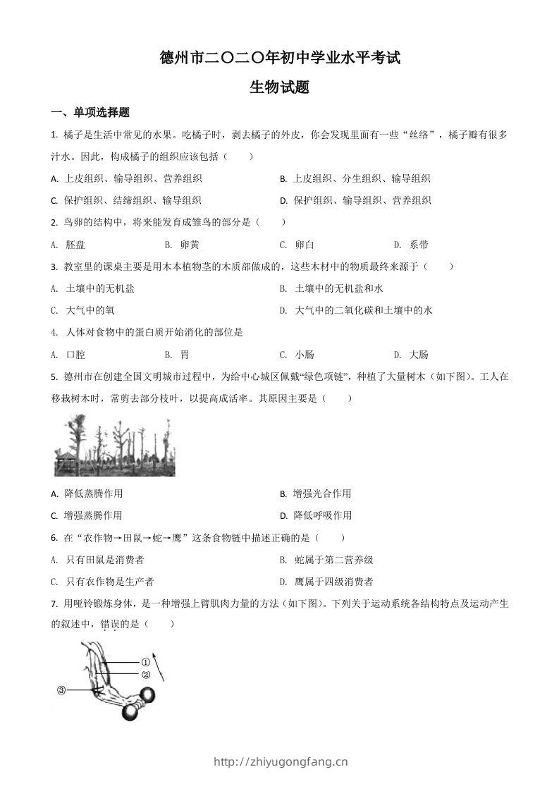 山东省德州市2020中考生物试题（空白卷）-学习资料站