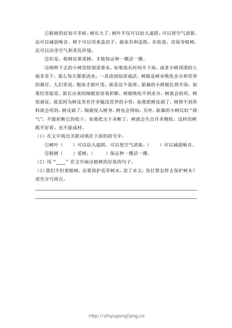 图片[2]-二下语文：第四课时练-学习资料站