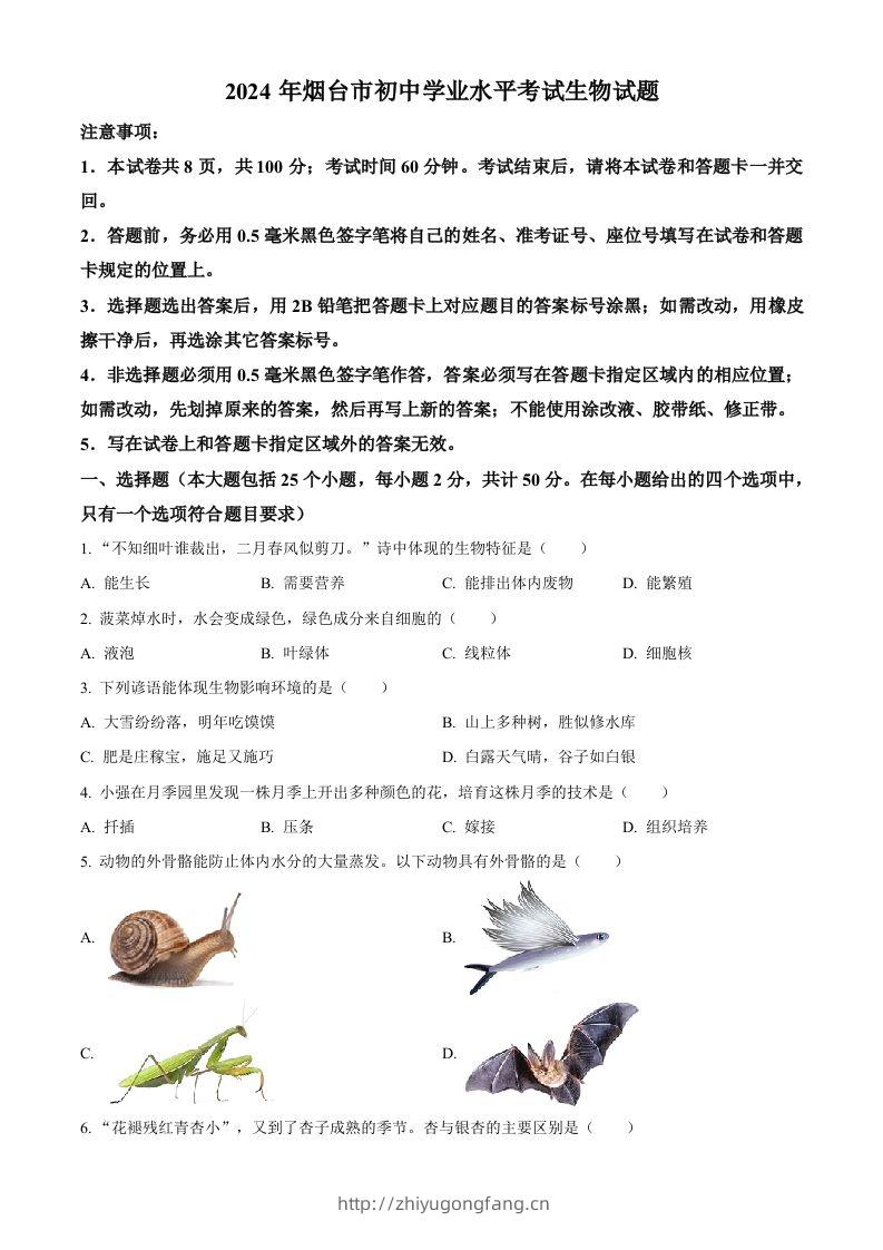2024年山东省烟台市中考生物试题（空白卷）-学习资料站