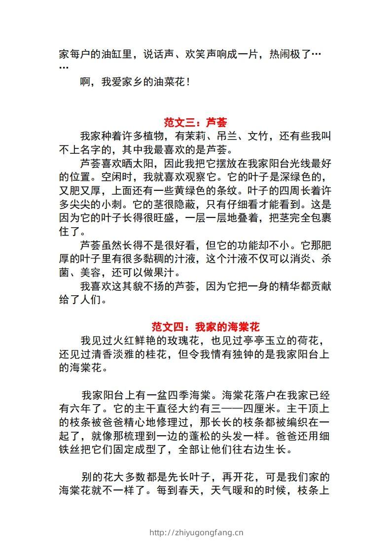 图片[2]-三年级语文下册1-8单元作文范文-学习资料站
