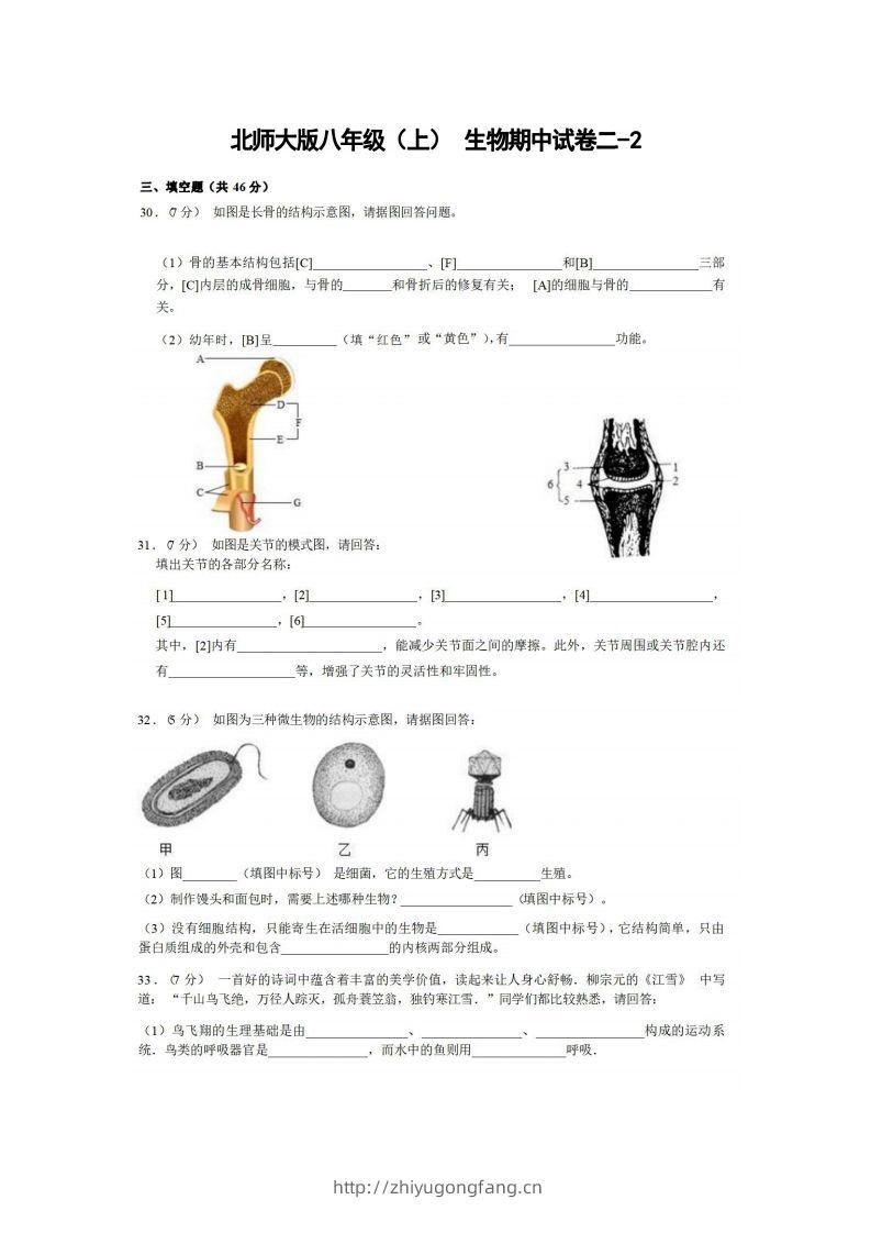 八年级（上）生物期中试卷2-2卷北师大版-学习资料站