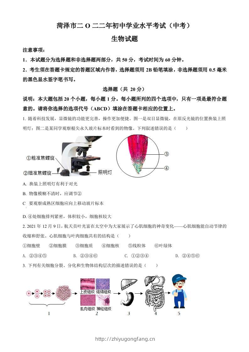 2022年山东省菏泽市中考生物真题（空白卷）-学习资料站