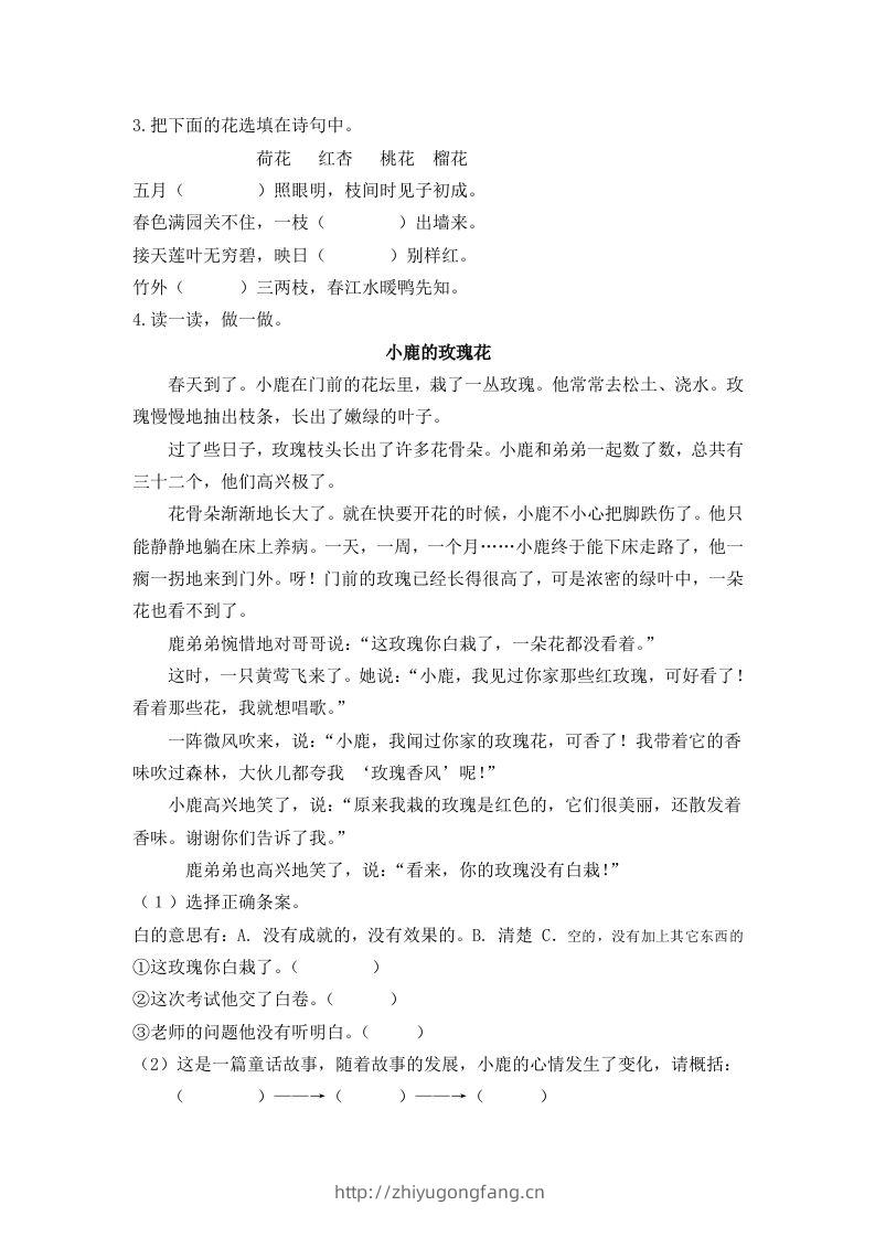 图片[2]-二下语文：第三课时练-学习资料站