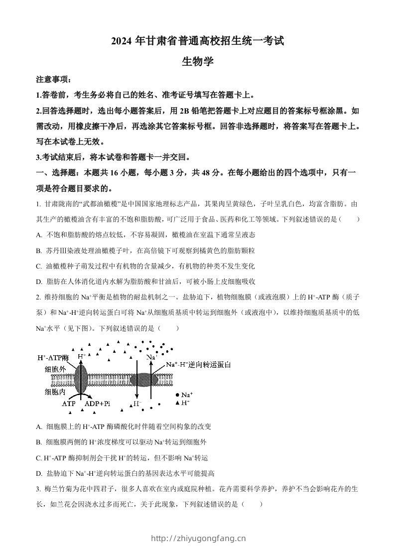 2024年高考生物试卷（甘肃）（空白卷）-学习资料站
