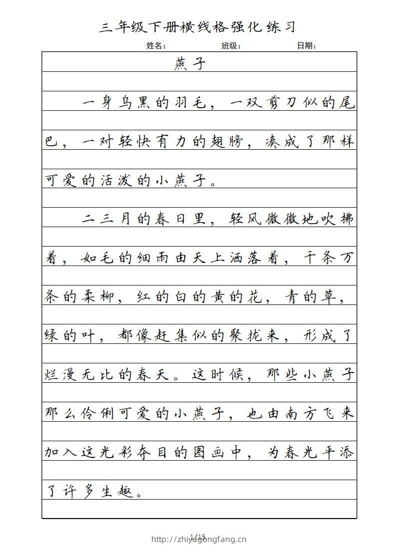 三年级语文下册横线格（部编版）-学习资料站