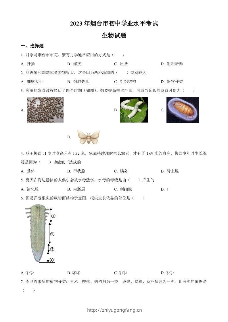2023年山东省烟台市中考生物真题（空白卷）-学习资料站