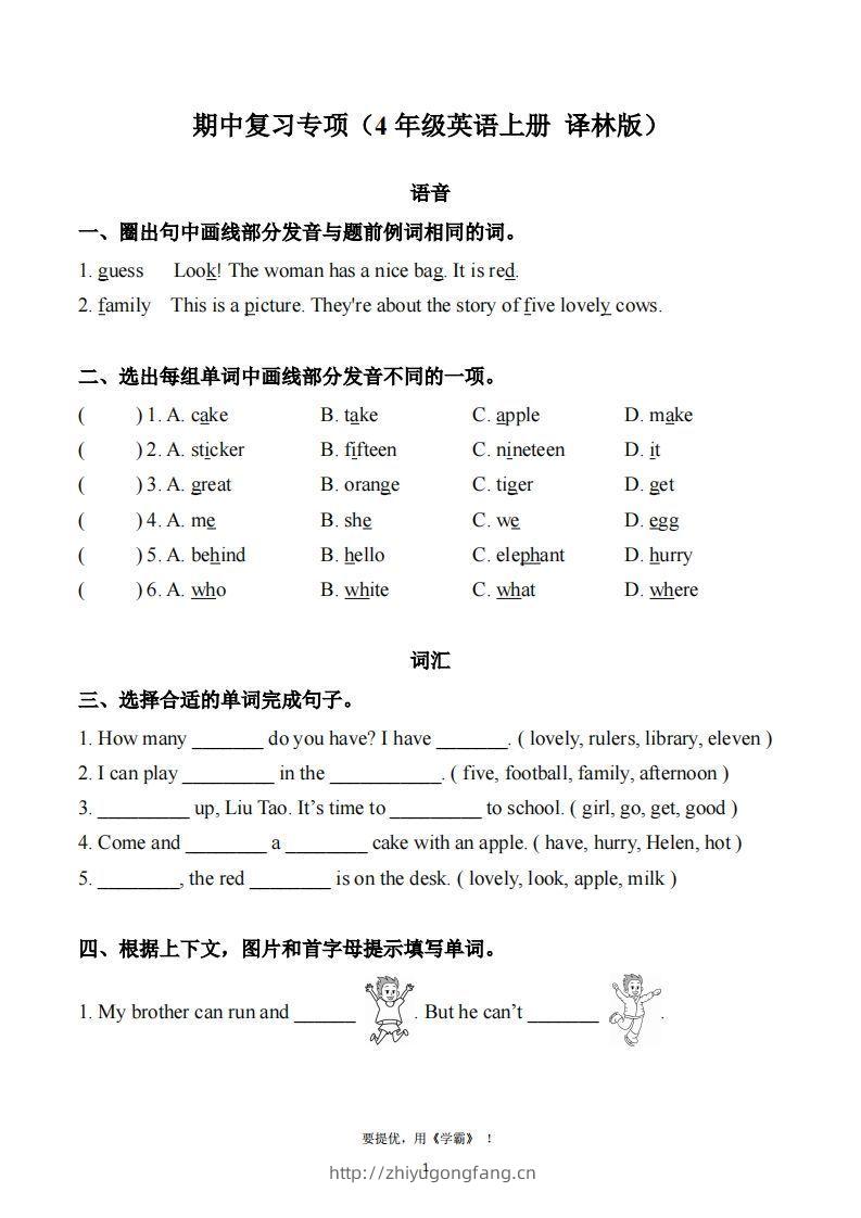 期中复习专项（四上英语译林版）-学习资料站
