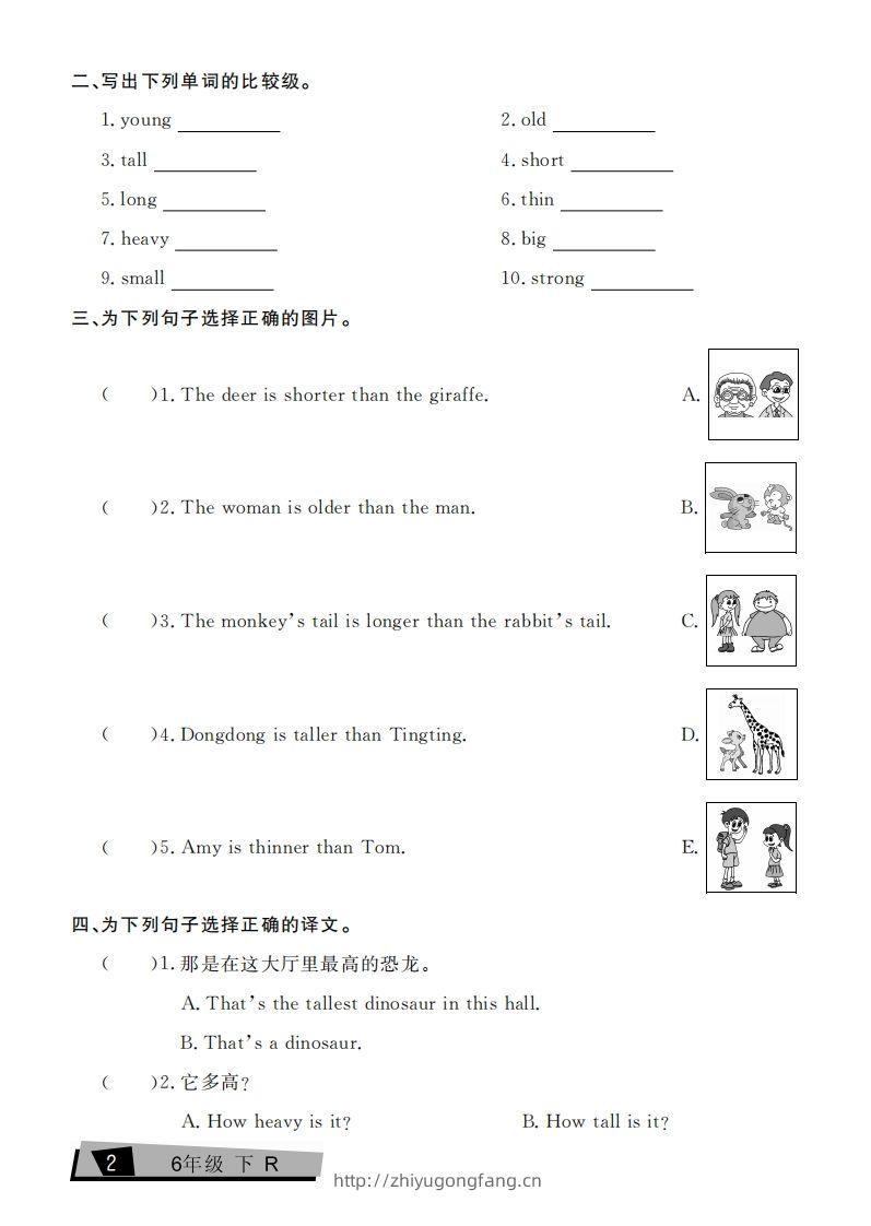 图片[2]-六下英语复习《考点全练》人教PEP版-学习资料站