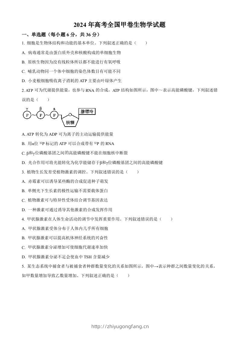 2024年高考生物试卷（全国甲卷）（空白卷）-学习资料站