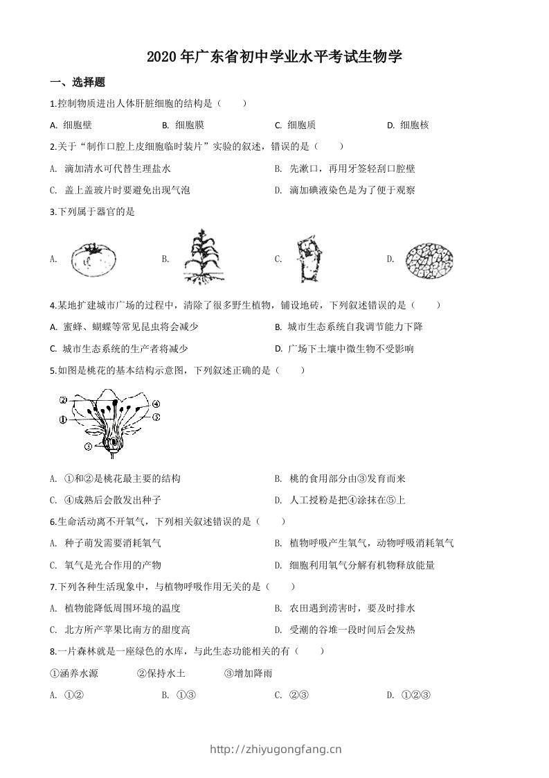 广东省2020年中考生物试题（空白卷）-学习资料站