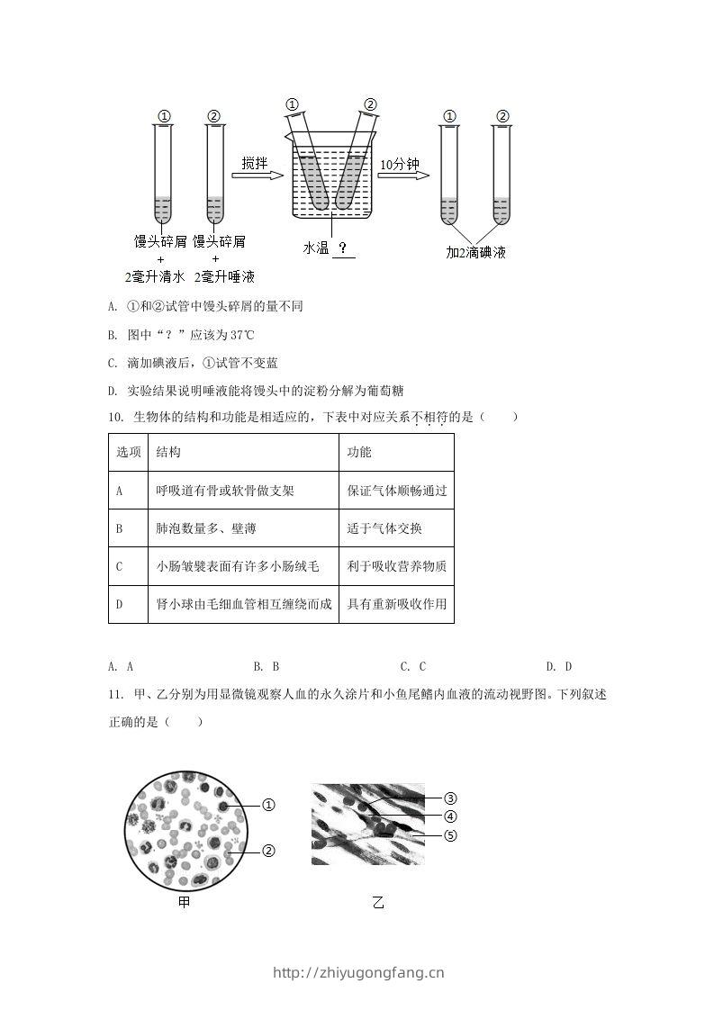 图片[3]-2024年吉林长春中考生物试题及答案(Word版)-学习资料站