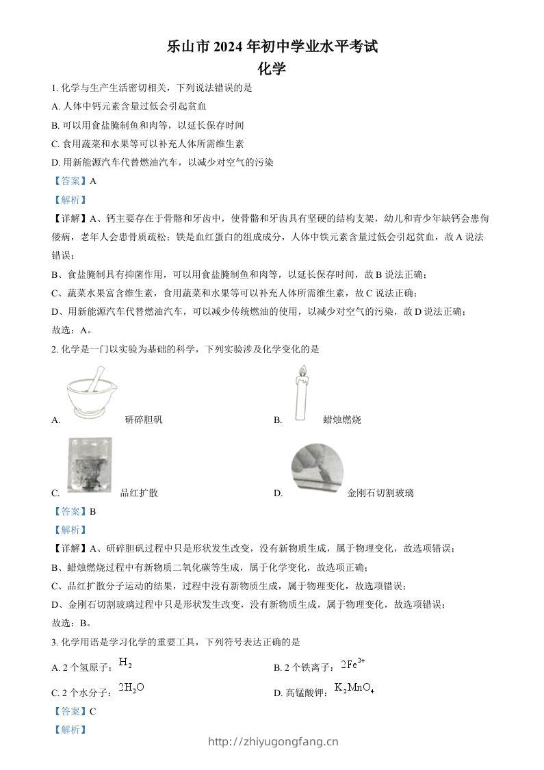 2024年四川省乐山市中考化学真题（含答案）-学习资料站