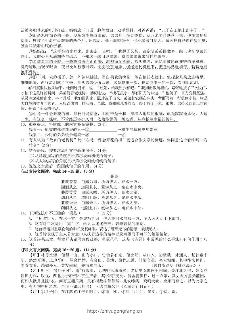 图片[3]-2023-2024学年广西河池市宜州区八年级下学期期中语文试题及答案(Word版)-学习资料站