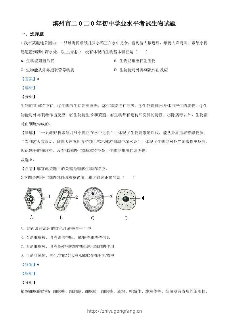 山东省滨州市2020年中考生物试题（含答案）-学习资料站