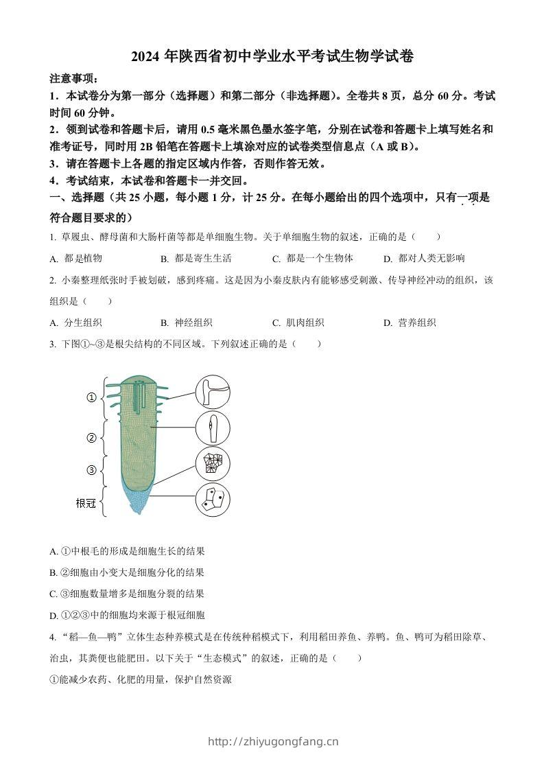 2024年陕西省中考生物真题（空白卷）-学习资料站