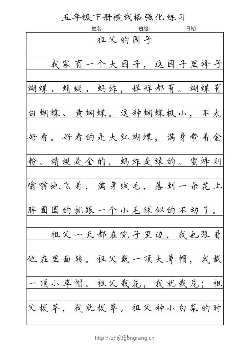 五年级语文下册横线格（部编版）-学习资料站