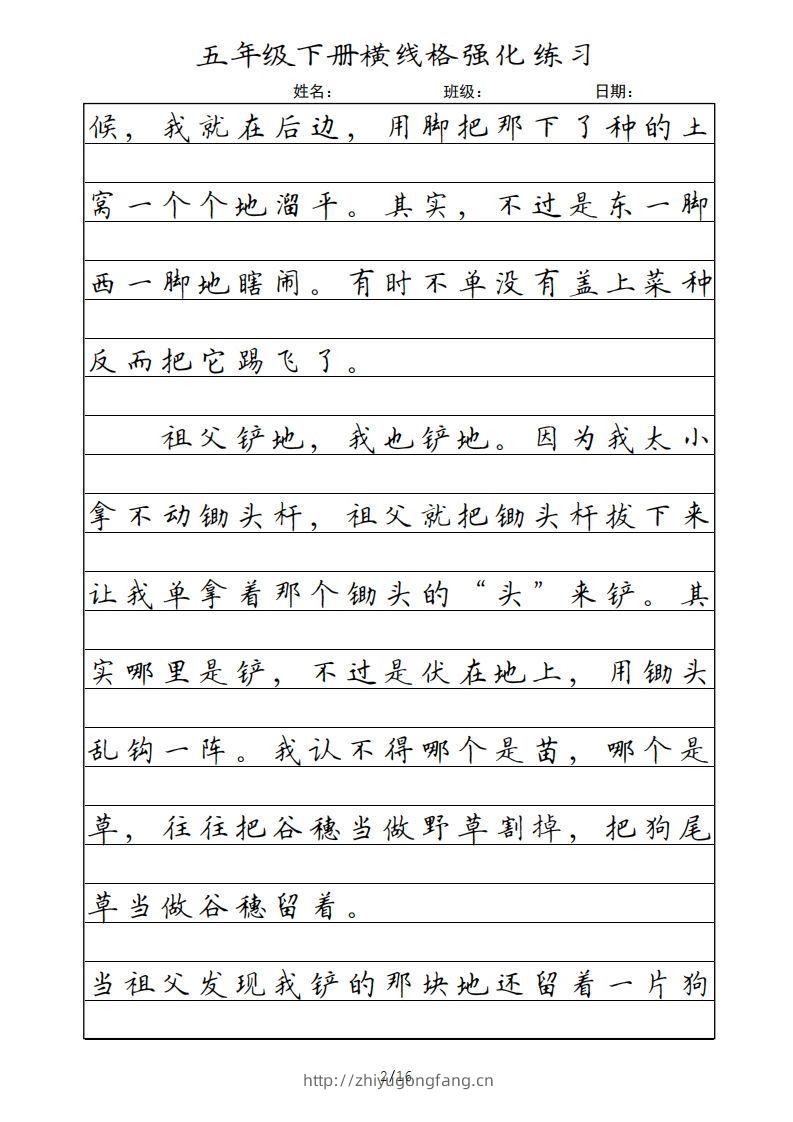 图片[2]-五年级语文下册横线格（部编版）-学习资料站