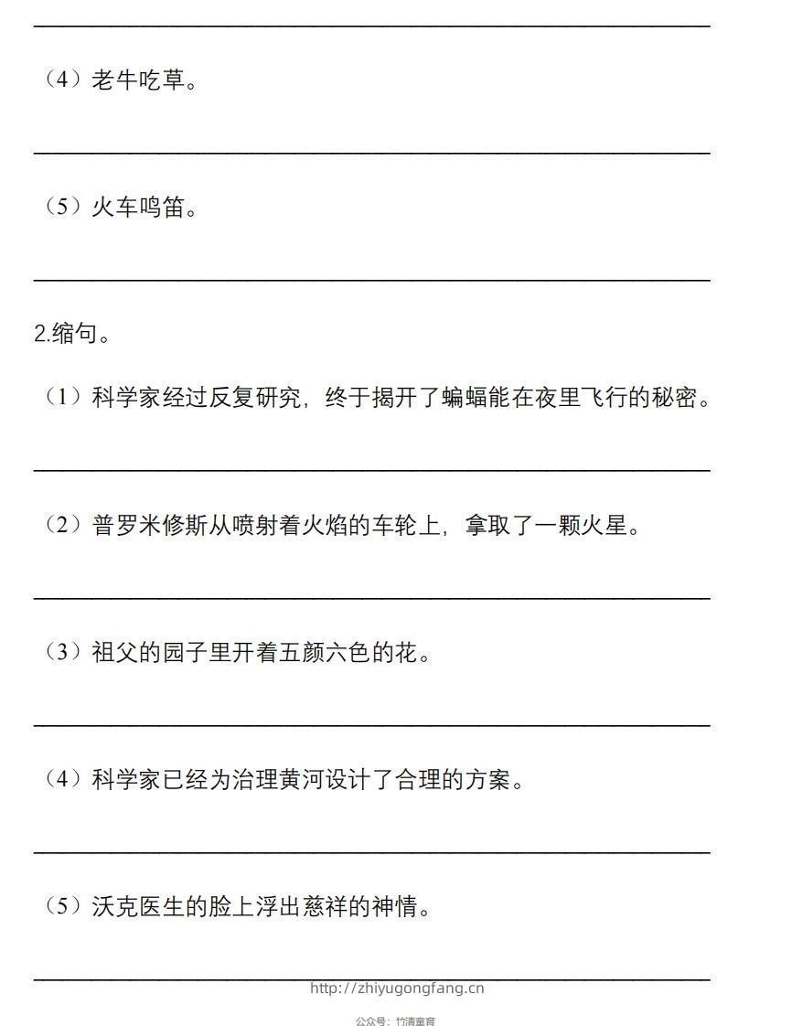 图片[3]-5年级句子专项练习-学习资料站