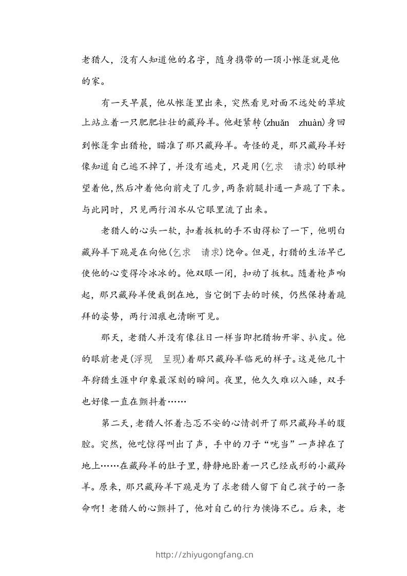 图片[3]-五年级语文下册近义词、反义词（部编版）-学习资料站
