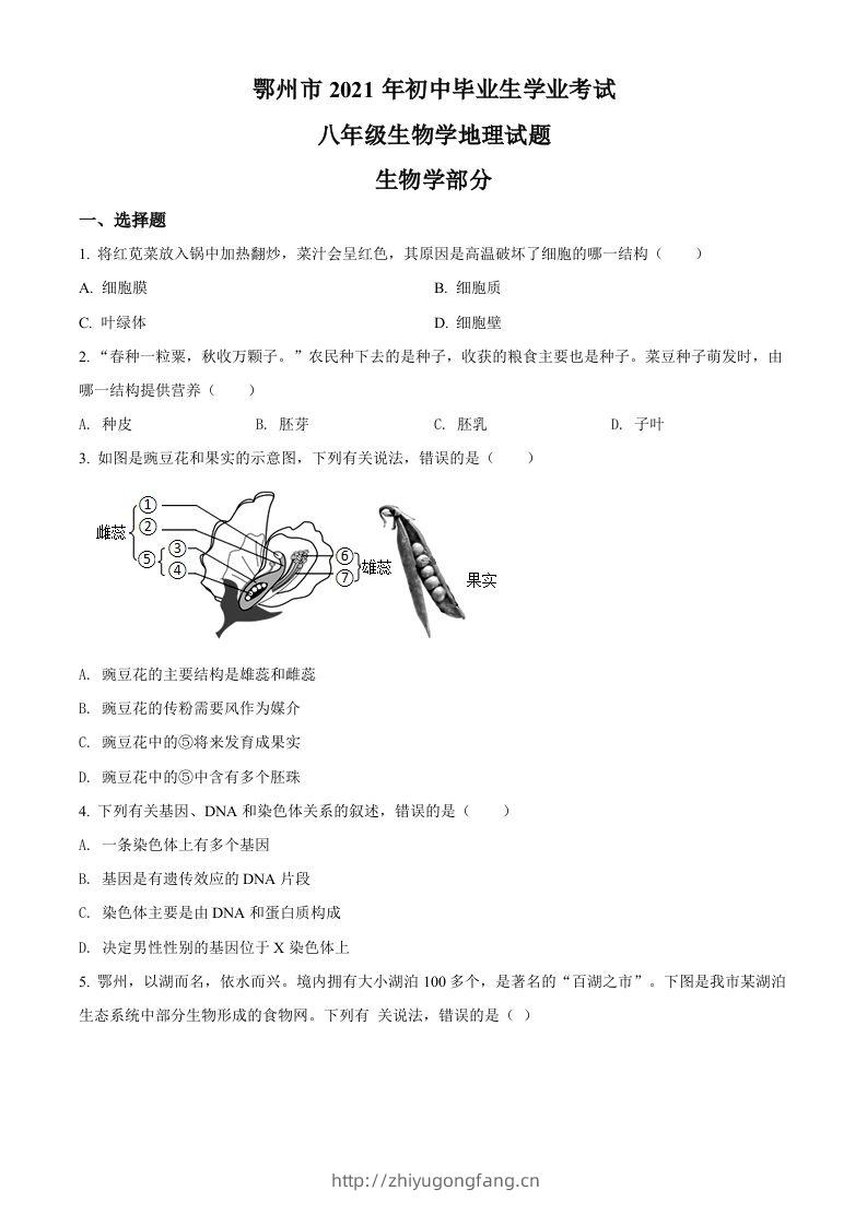 湖北省鄂州市2021年中考生物试题（空白卷）-学习资料站