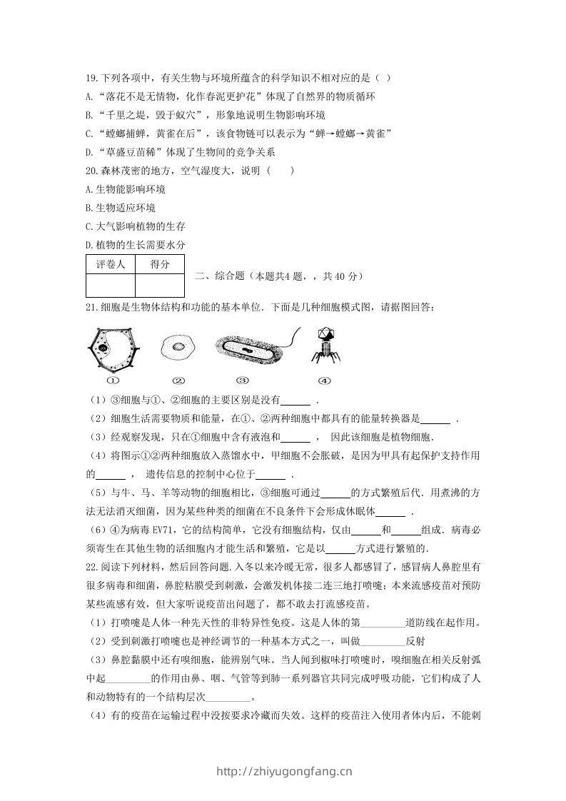 图片[3]-七年级上册生物第一次月考试卷及答案(Word版)-学习资料站