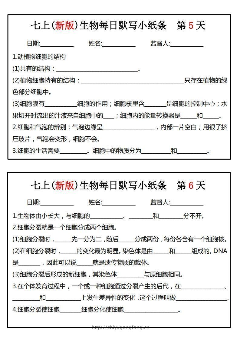 图片[3]-七上(新版)生物每日默写小纸条-学习资料站
