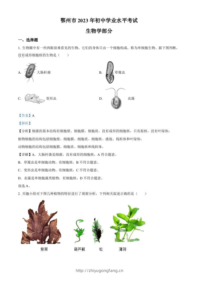2023年湖北省鄂州市中考生物真题（含答案）-学习资料站