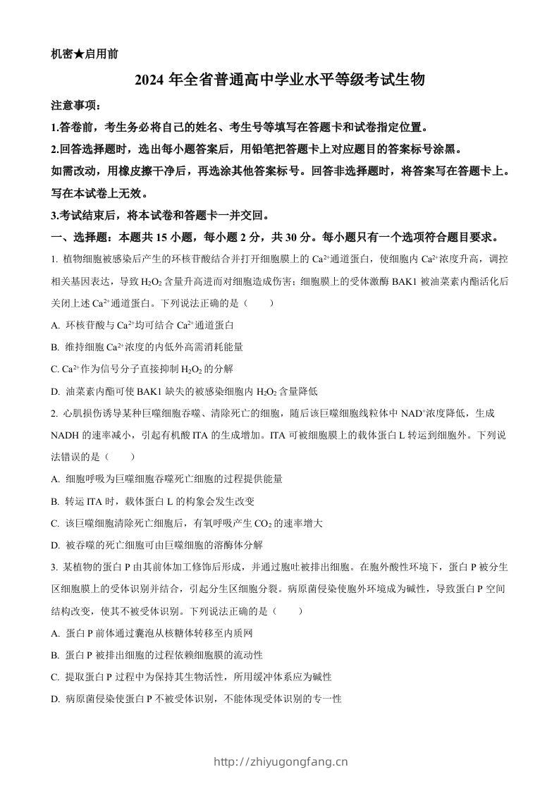 2024年高考生物试卷（山东）（空白卷）-学习资料站
