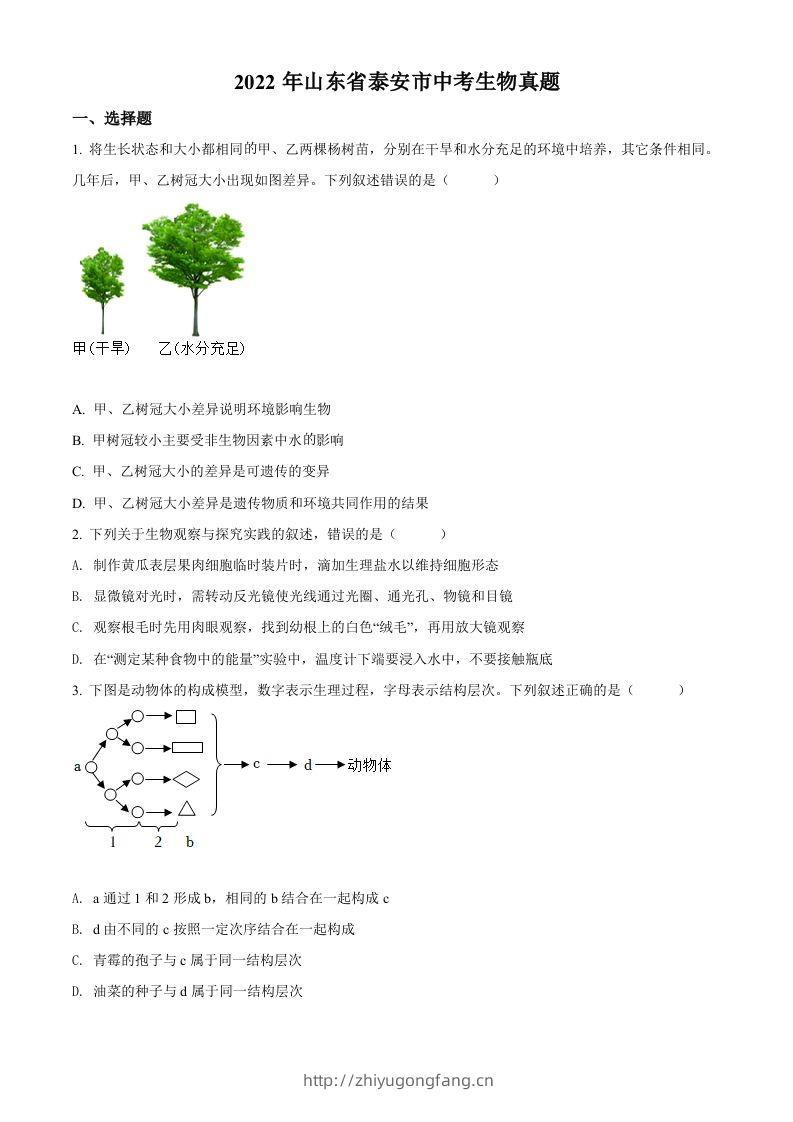 2022年山东省泰安市中考生物真题（空白卷）-学习资料站