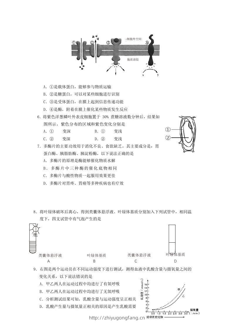 图片[2]-2019-2020年北京市房山区高二生物下学期期末试题及答案(Word版)-学习资料站