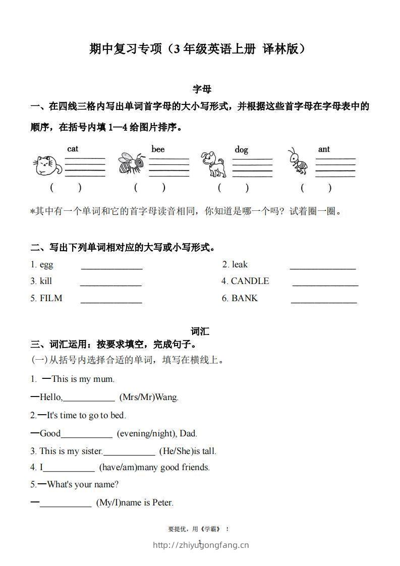 期中复习专项（三上英语译林版）-学习资料站