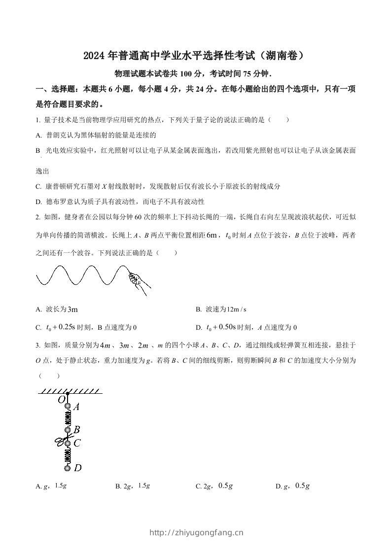 2024年高考物理试卷（湖南）（空白卷）-学习资料站