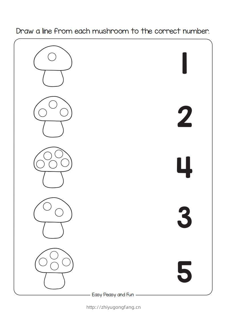 【数学】数学综合-学习资料站
