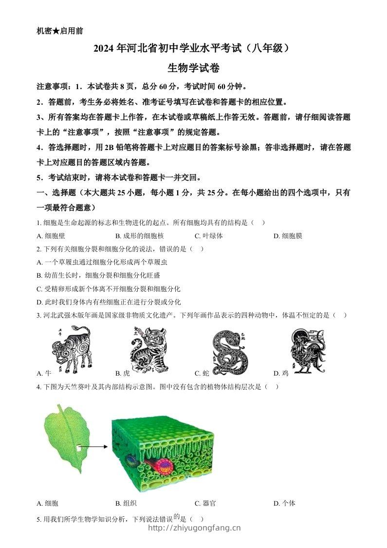 2024年河北省八年级中考生物真题（空白卷）-学习资料站