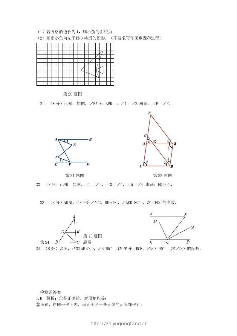 图片[3]-七年级下册数学第五章试卷及答案人教版(Word版)-学习资料站