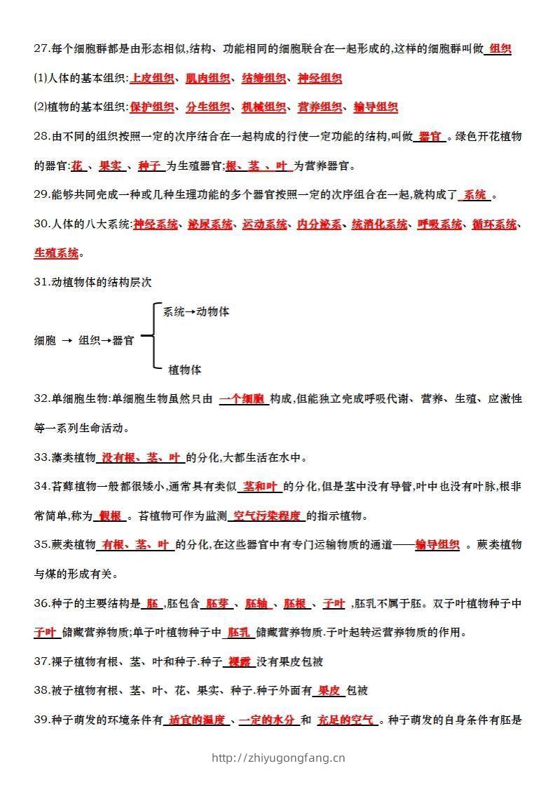 图片[3]-七上生物全册知识点填空72题（答案）-学习资料站