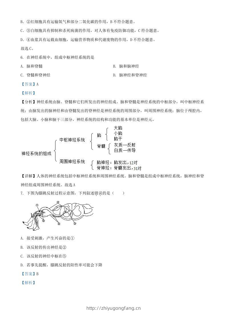 图片[3]-2024年上海中考生物试题及答案(Word版)-学习资料站