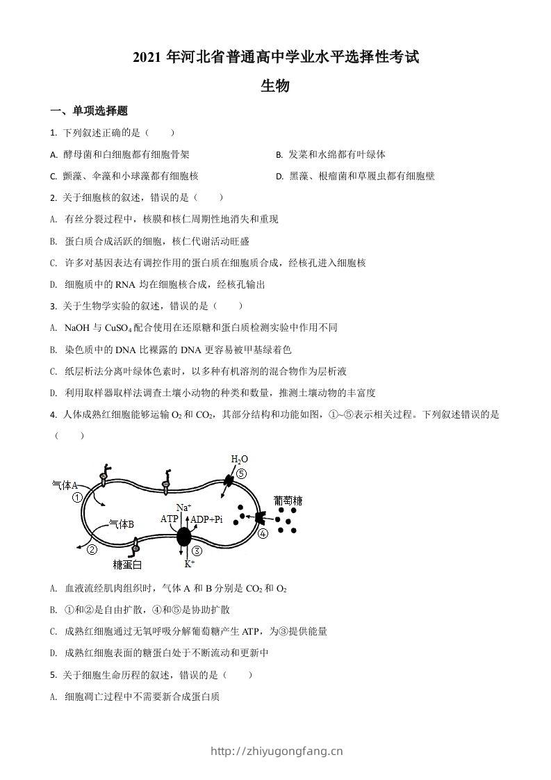 2021年高考生物试卷（河北）（空白卷）-学习资料站
