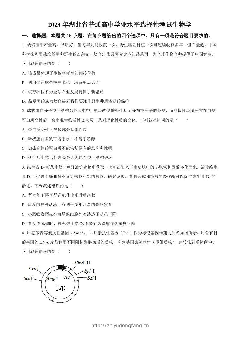 2023年高考生物试卷（湖北）（空白卷）-学习资料站