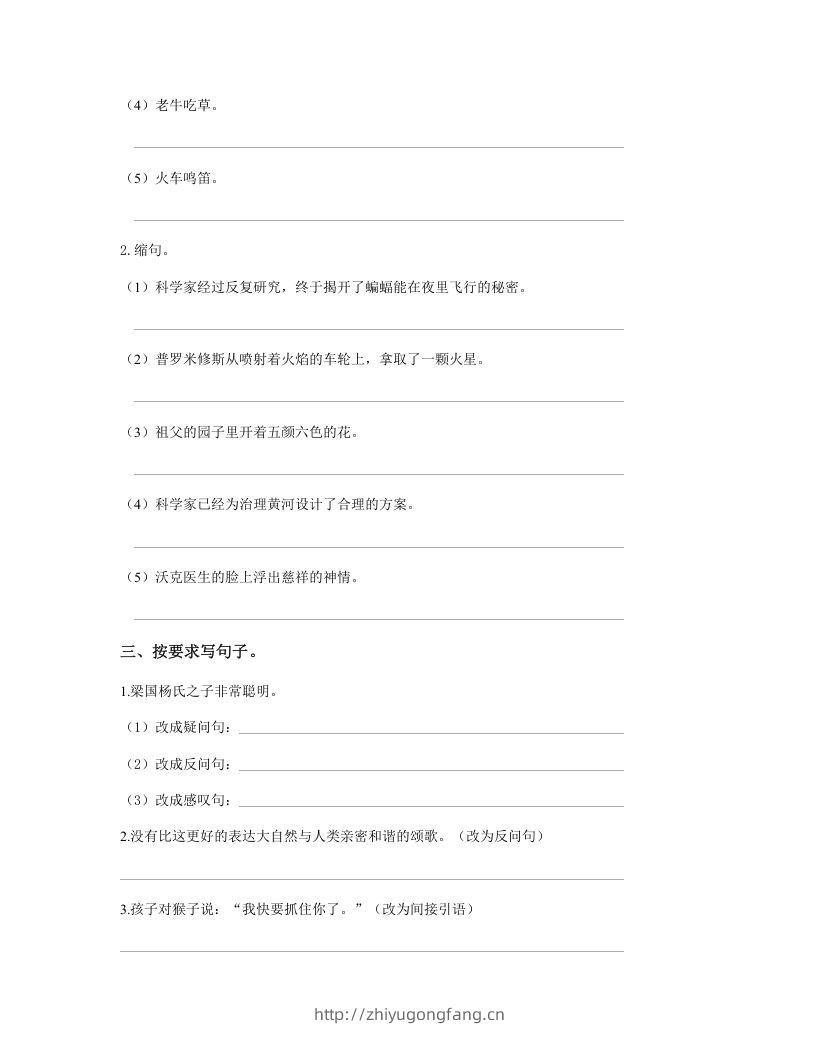 图片[3]-五年级语文下册句子专项练习（部编版）-学习资料站