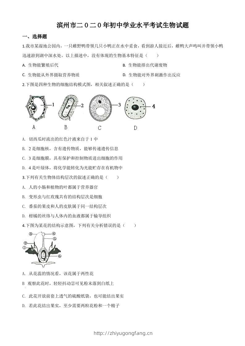 山东省滨州市2020年中考生物试题（空白卷）-学习资料站